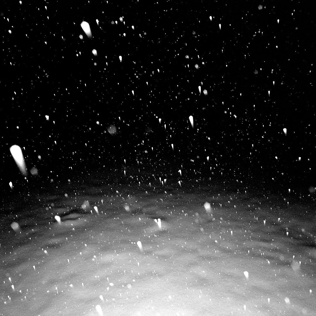 22-Backyard-snow-2