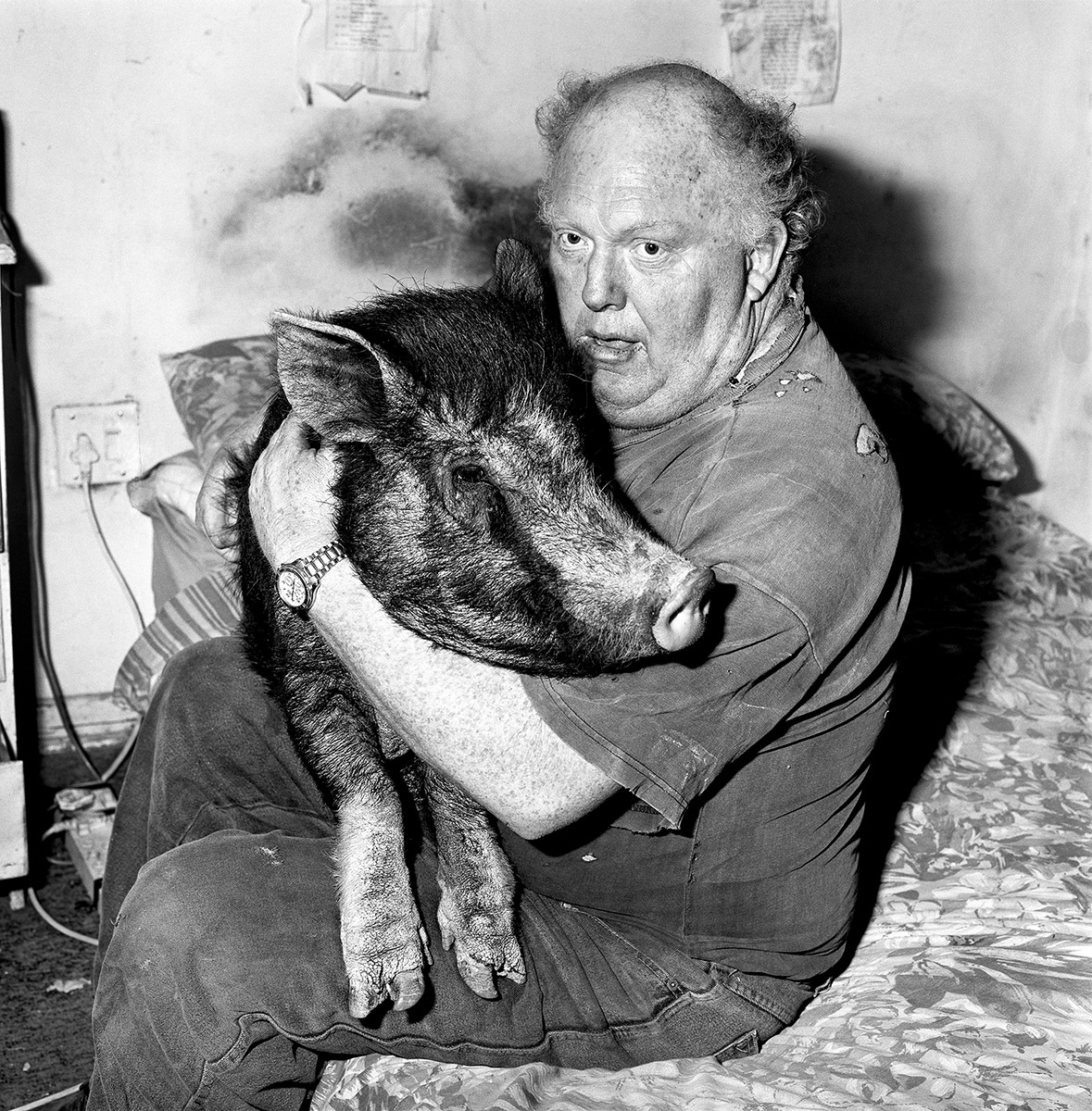 Brian-with-pet-pig-1998-